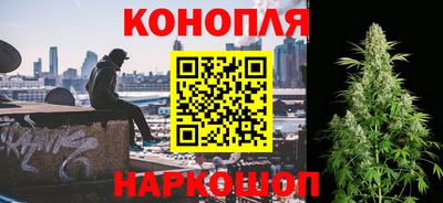сатива Пенза