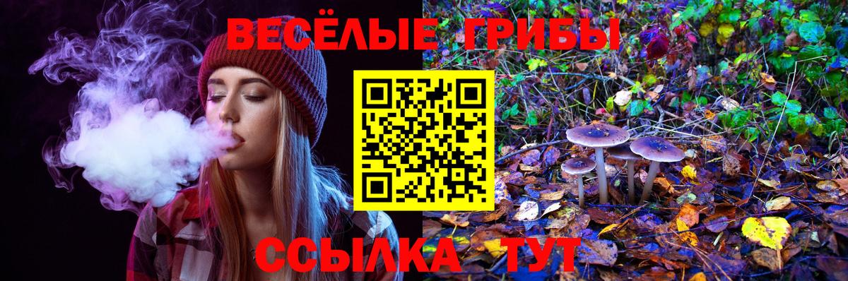 Санкт-Петербург  Псилоцибиновые грибы Magic Shrooms  Вход с VPN 