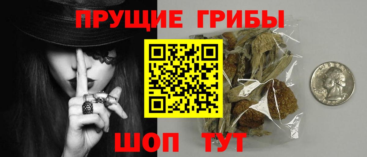 Псилоцибиновые грибы прущие грибы Санкт-Петербург